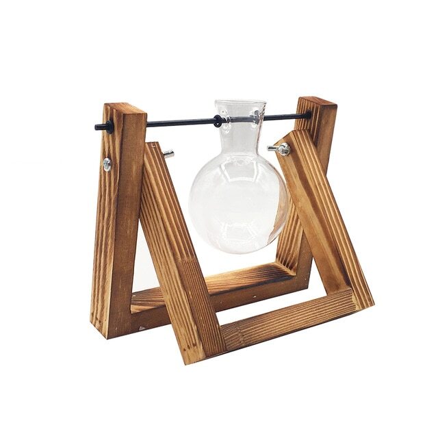 Glass Propagation Vases