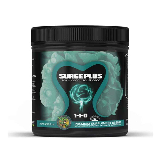 future harvest surge plus