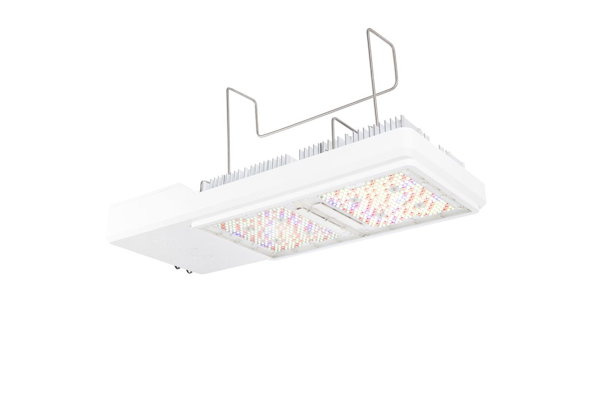 Gavita CT1930e LED(特别订单)