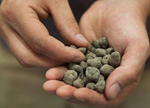 GEOLITE Clay Pebbles (Leca)