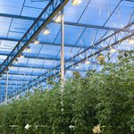 Agrolux(特别订单)