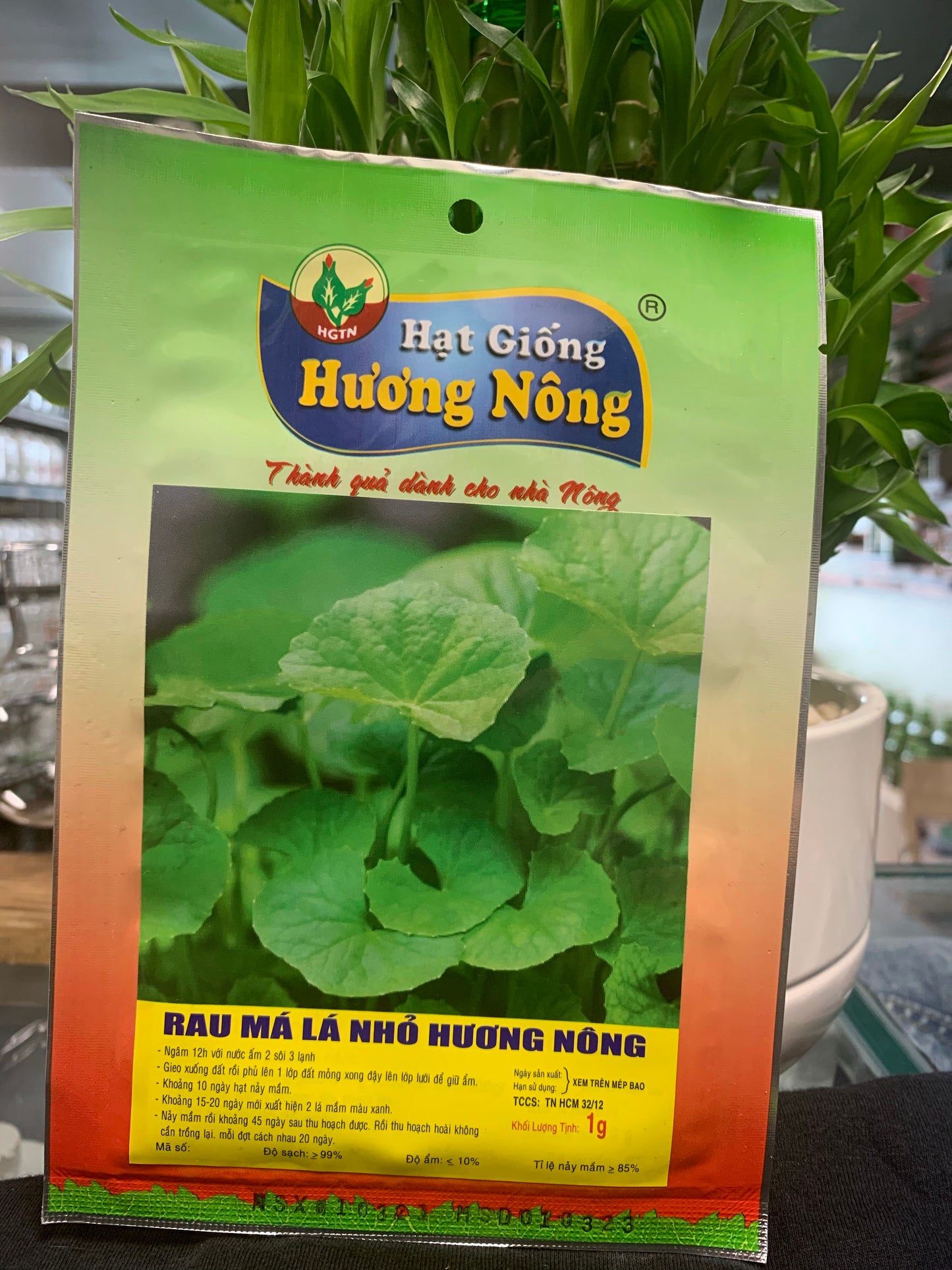 Specialty Seeds - Seeds