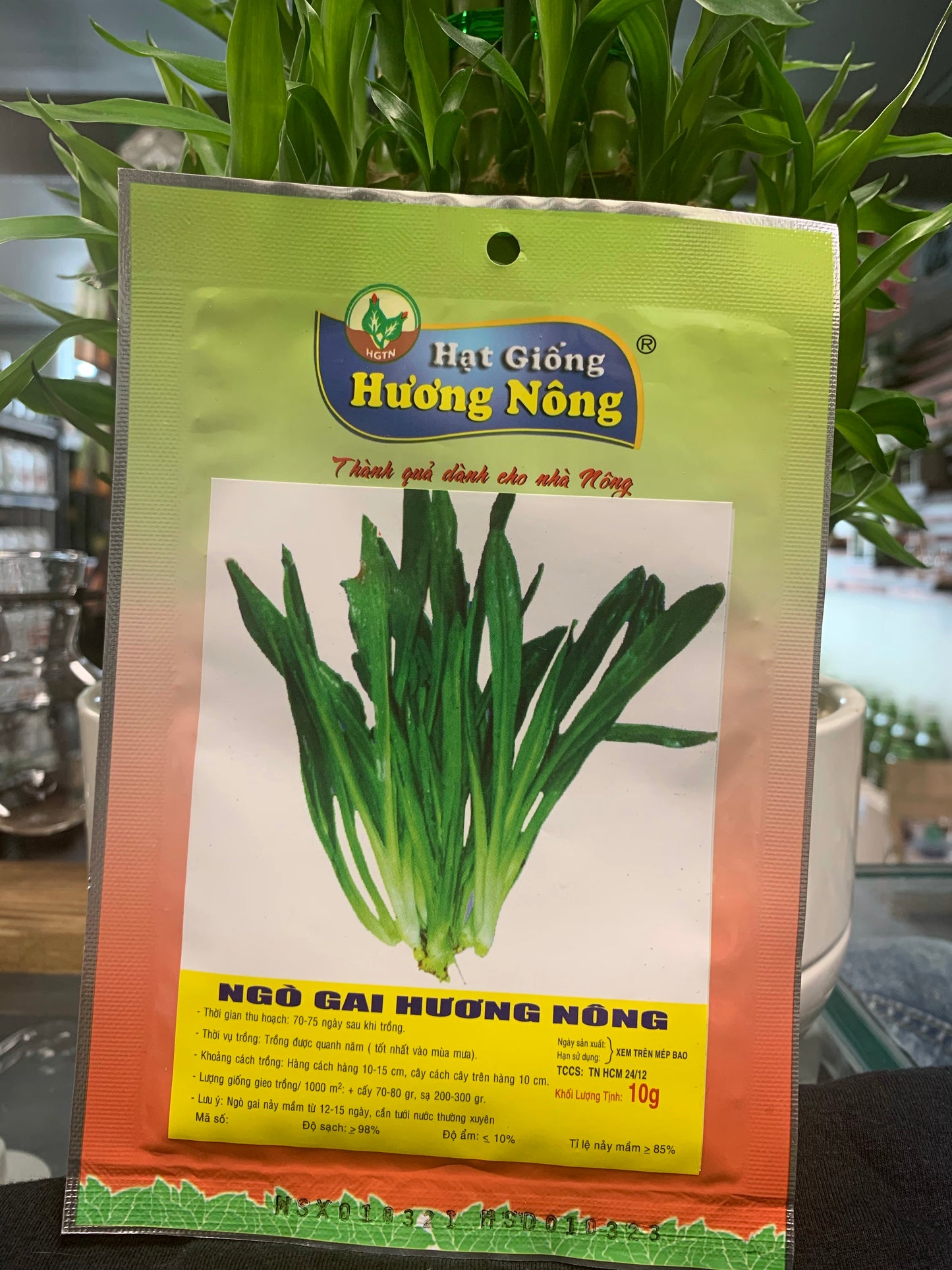Specialty Seeds - Seeds