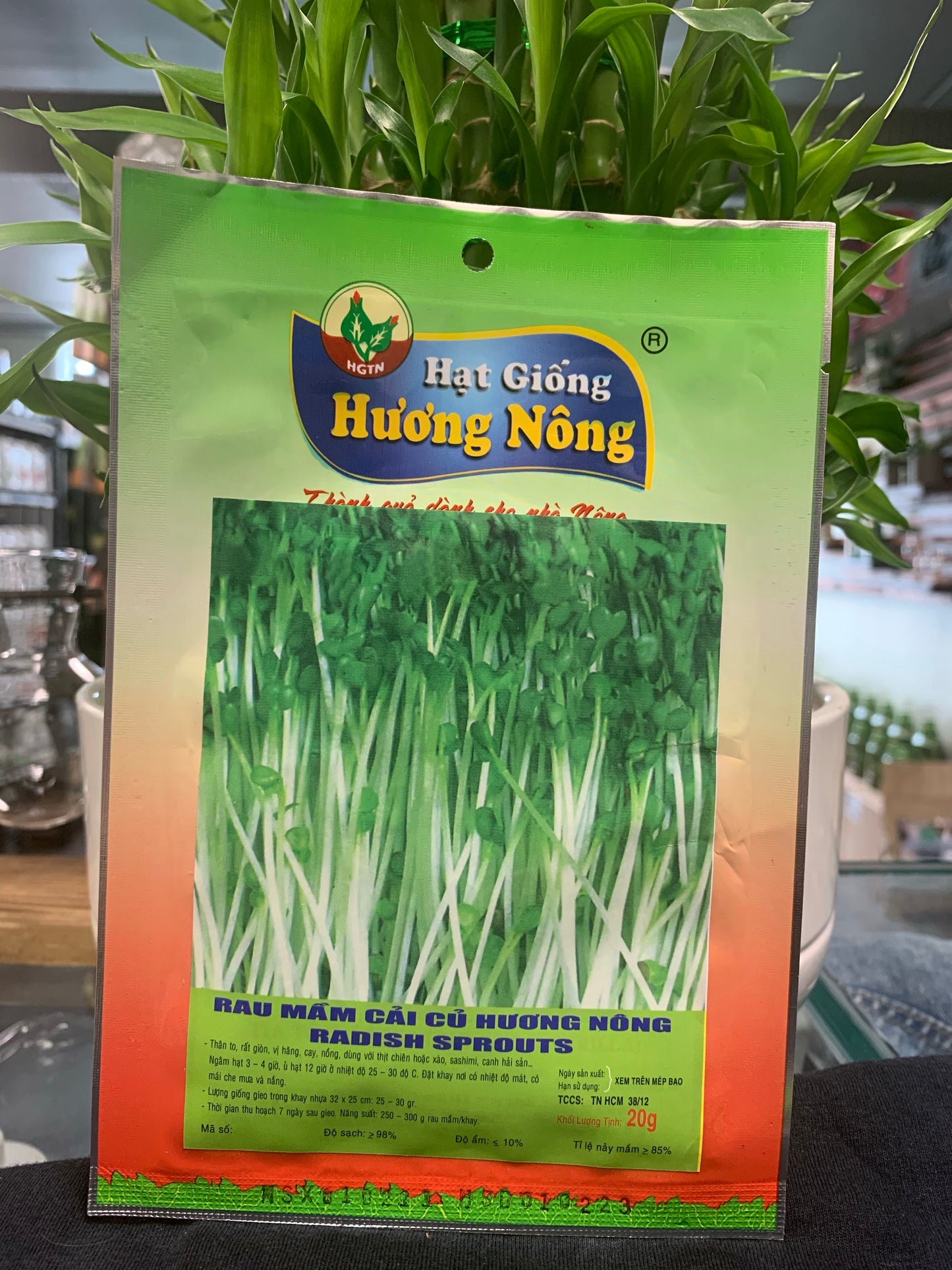 Specialty Seeds - Seeds