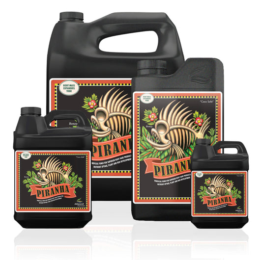 Advanced Nutrients Piranha Beneficial Fungi (Liquid) (0-0-0)