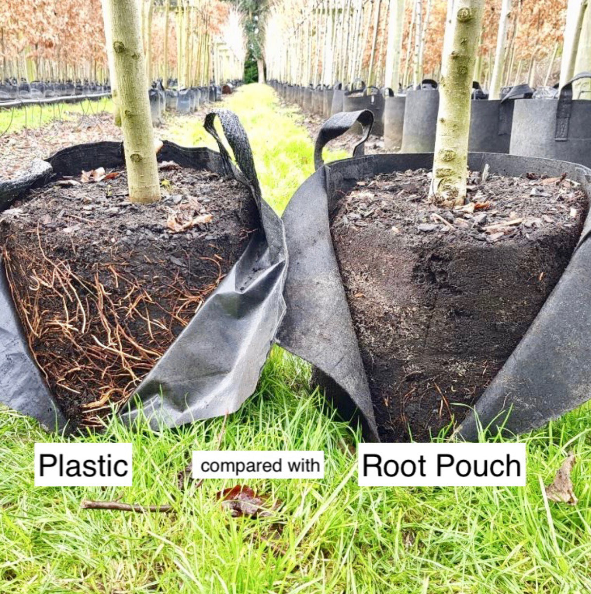 Root Pouch Fabric Pot (Sale 20% OFF)