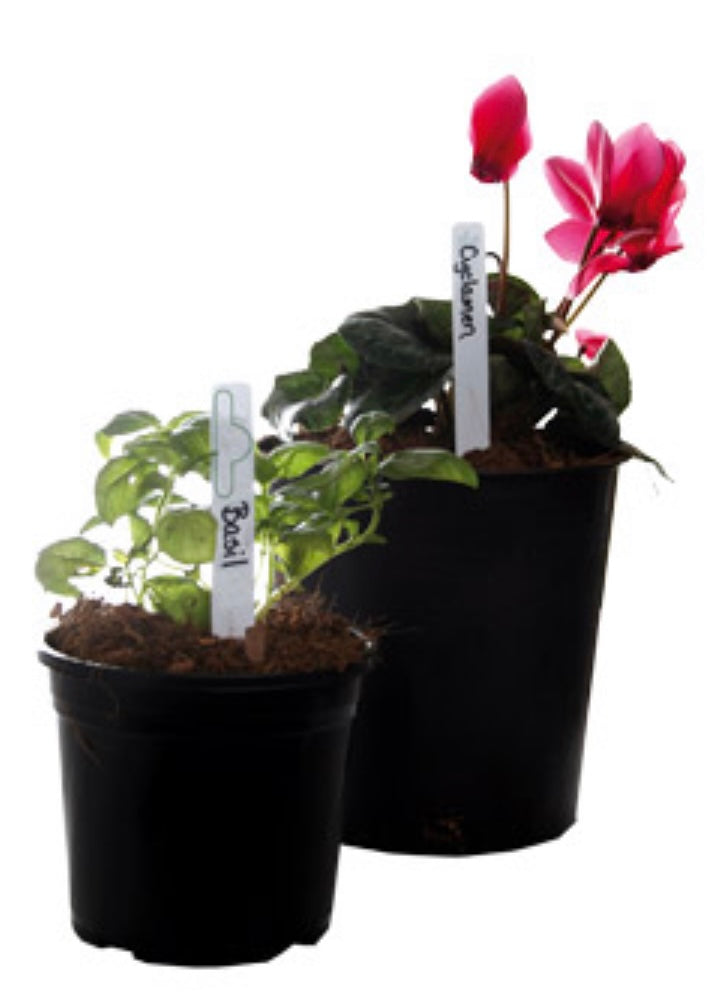 可重复使用的植物标签标记 6" x 5/8" 白色(50/包)