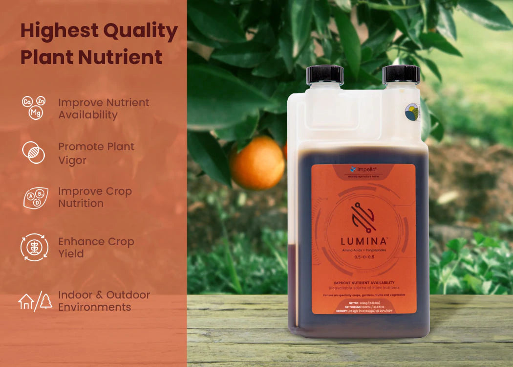 Impello Lumina (Organic Amino Acid Fertilizer)