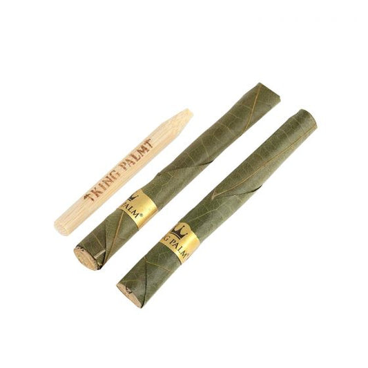 大王棕榈天然棕榈叶(2 包)