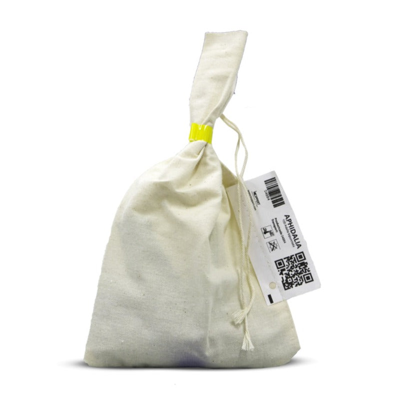 koppert aphidalia bipunctata ladybirds 100 pack