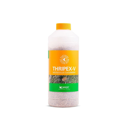 Koppert Thripex 和 Thripex-V
