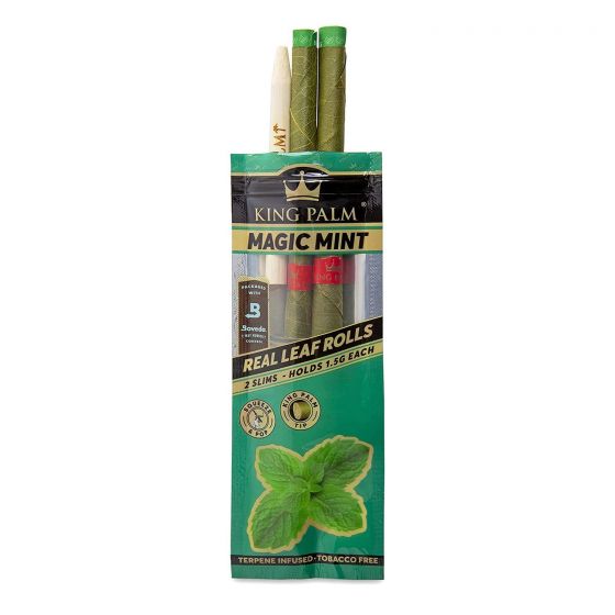 大王棕榈天然棕榈叶(2 包)