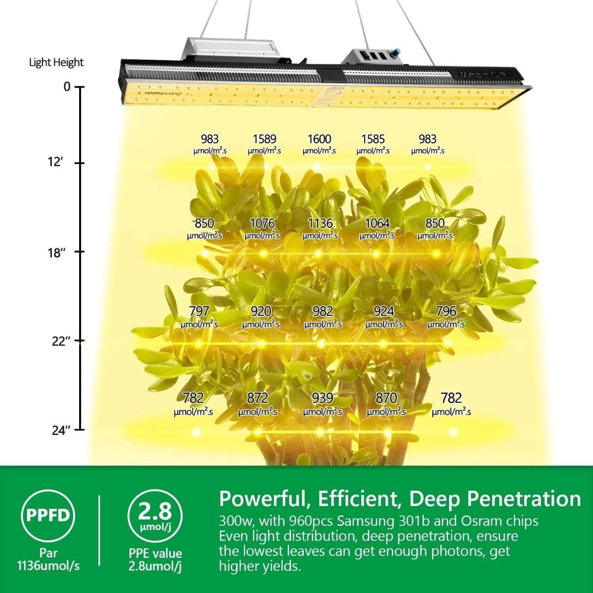 Mars Hydro SP Full Spectrum LED Grow Light