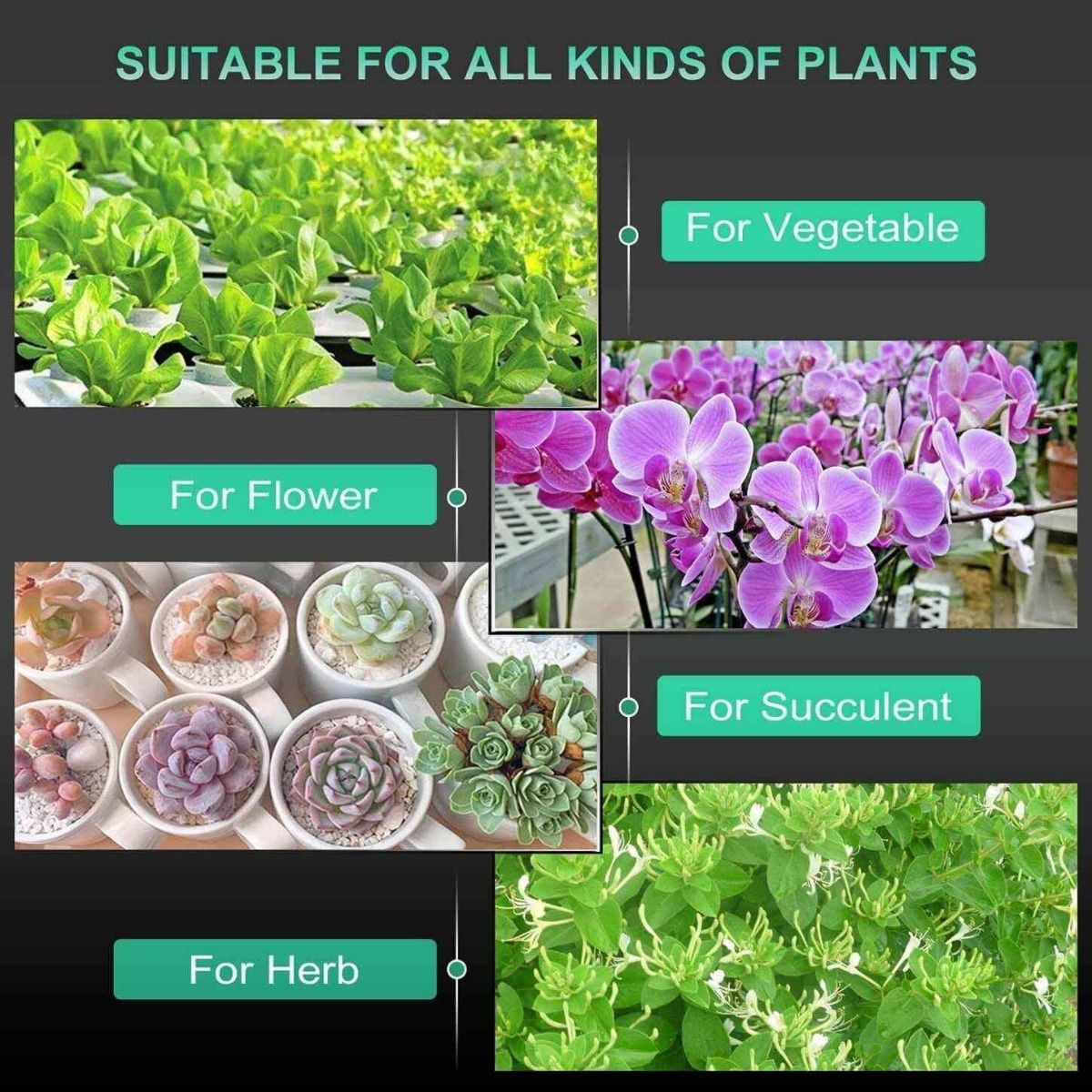 Mars Hydro SP Full Spectrum LED Grow Light