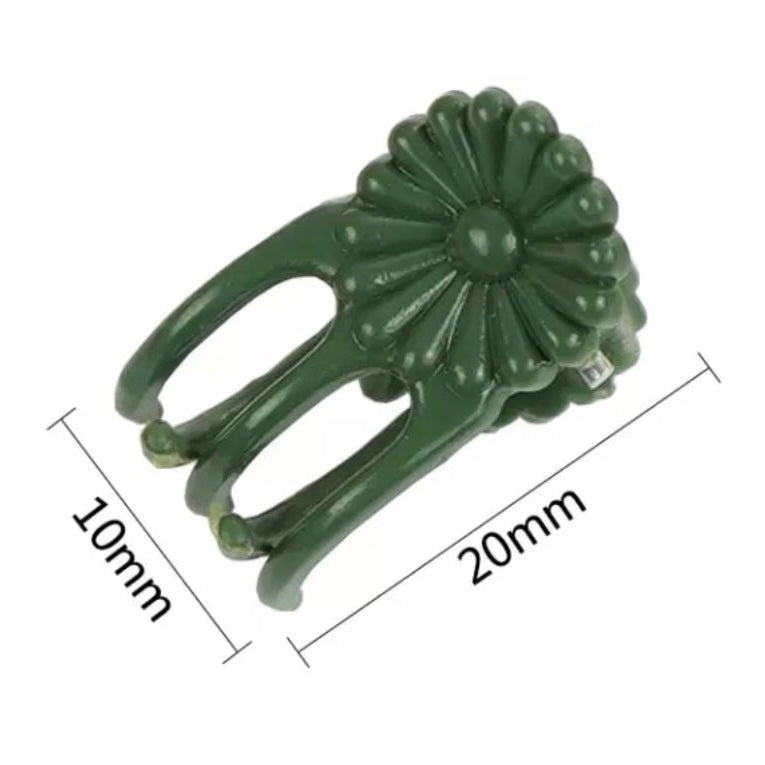 兰花植物支撑夹(10 个装)