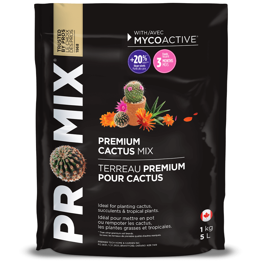 PROMIX Premium Cactus Mix 5 Liter