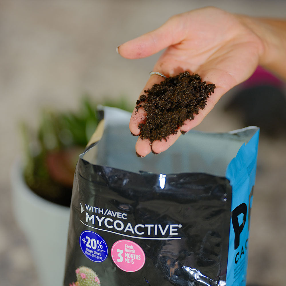 PROMIX Premium Cactus Mix 5 Litre In Hand