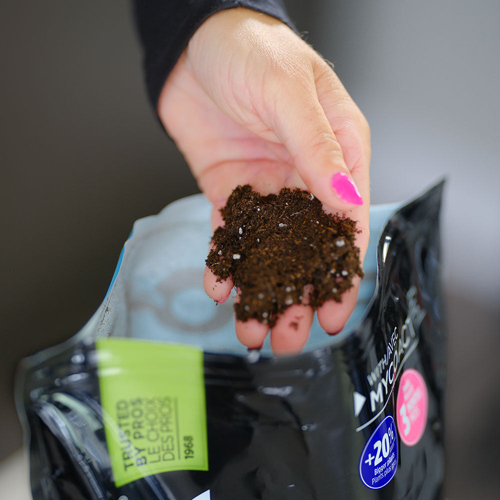 PROMIX Premium Tropical Plant Mix Showcase