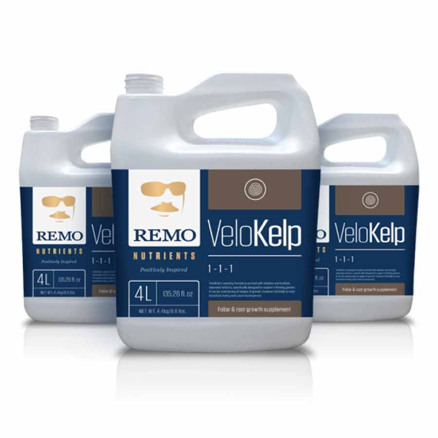 Remo Nutrients VeloKelp (1-1-1)