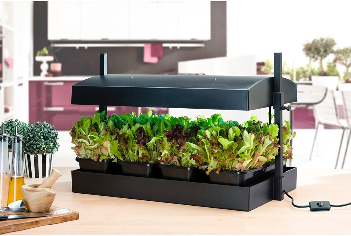 sunblaster t5ho growlight garden black kitchen