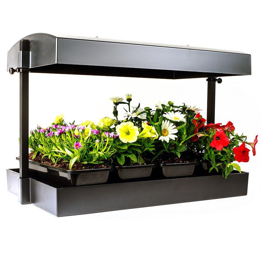 sunblaster t5ho growlight garden black