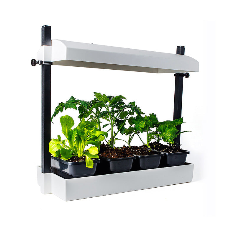 sunblaster t5ho growlight garden white