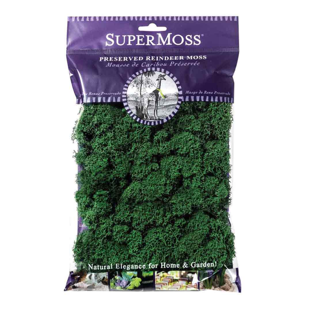 SuperMoss Preserved Sheet Moss