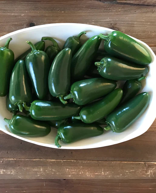West Coast Seeds (Black Magic Jalapeno Peppers) (Certified Organic)