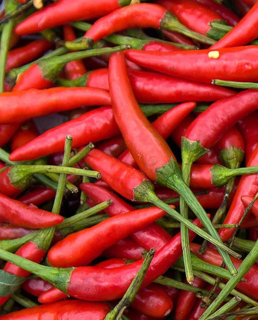 West Coast Seeds (Chile de Arbol Peppers)