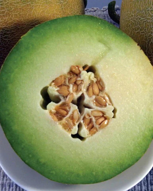 West Coast Seeds (Diplomat Honeydew Melons)