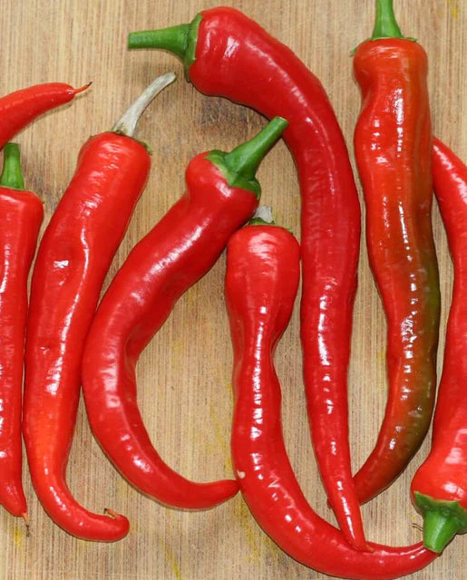 West Coast Seeds (Arapaho Peppers)