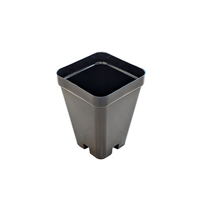 Mondi Square 2.4" Pot & 32 Site Carry Tray