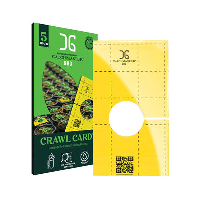 Catchmaster Crawl Cards 3" x 5"