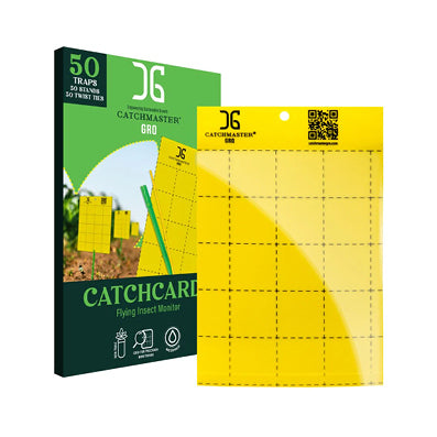Catchmaster Catchcard 4" x 6"