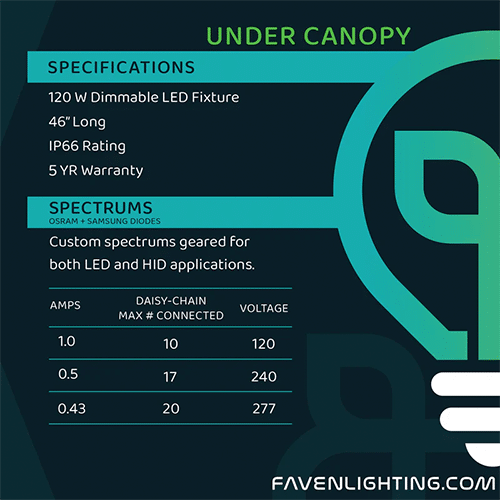 Faven Under Canopy Lighting R6 & R8