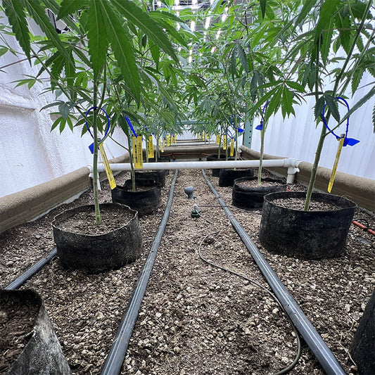 Blusoak 3.0 High Pressure Kits