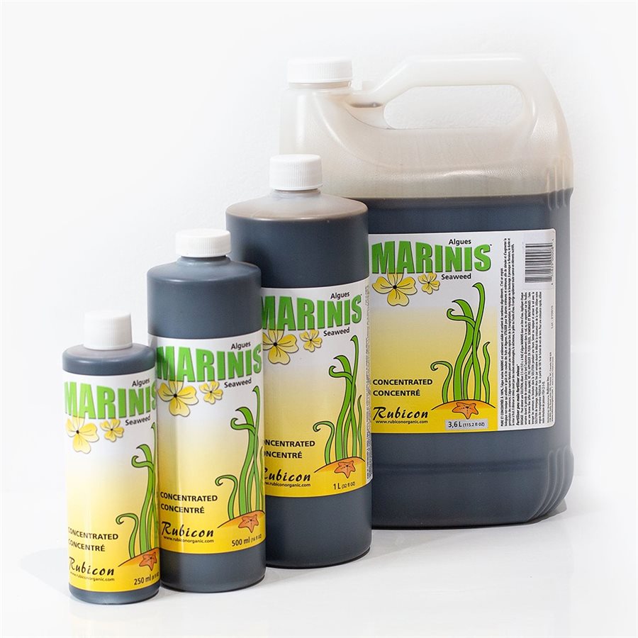 Rubicon Organic Marinis Seaweed