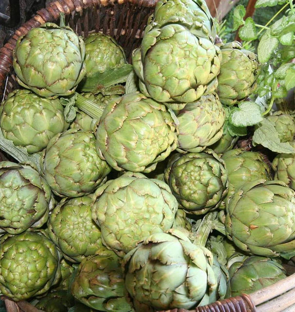West Coast Seeds (Green Globe Artichoke)