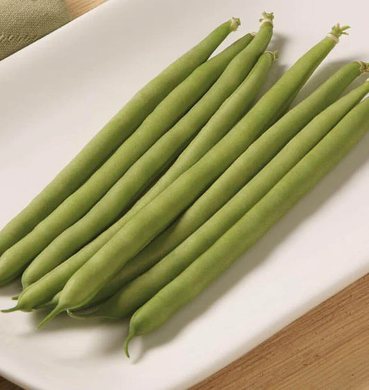 West Coast Seeds (Jade Bush Bean)