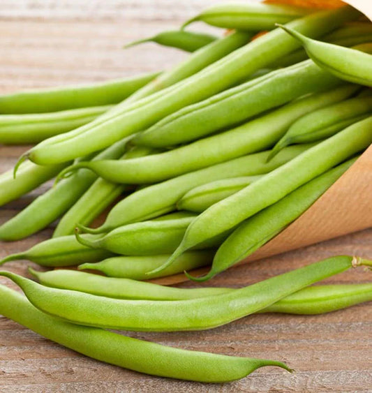 West Coast Seeds (Kentucky Wonder Brown Bean)