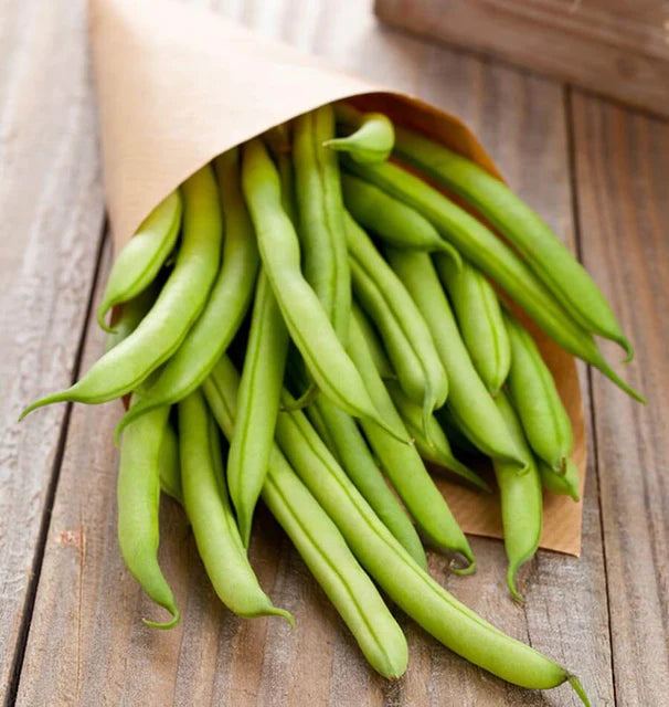 West Coast Seeds (Kentucky Wonder Brown Bean)