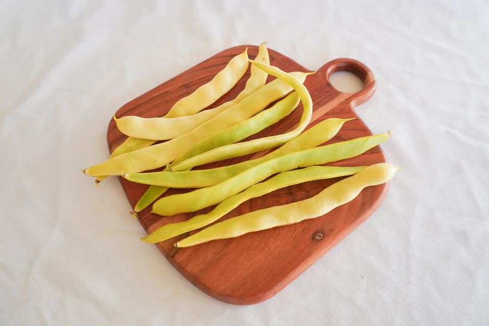 West Coast Seeds (Golden Gate Organic Bean)