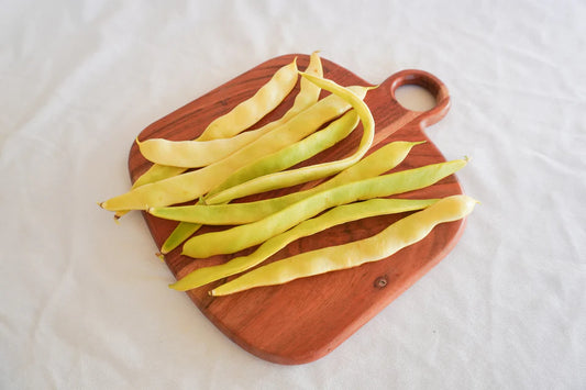 West Coast Seeds (Golden Gate Organic Bean)