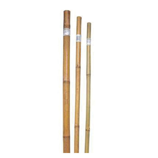 Bond 1" X 6' Bamboo Pole (Oversized) (Special Order)