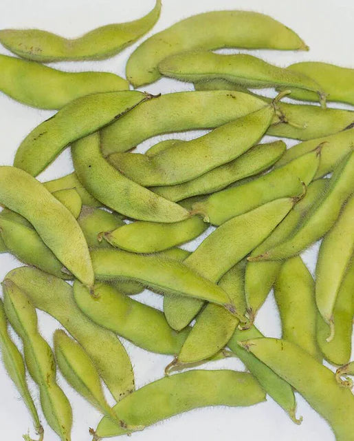 West Coast Seeds (Kuroshinju Edamame)