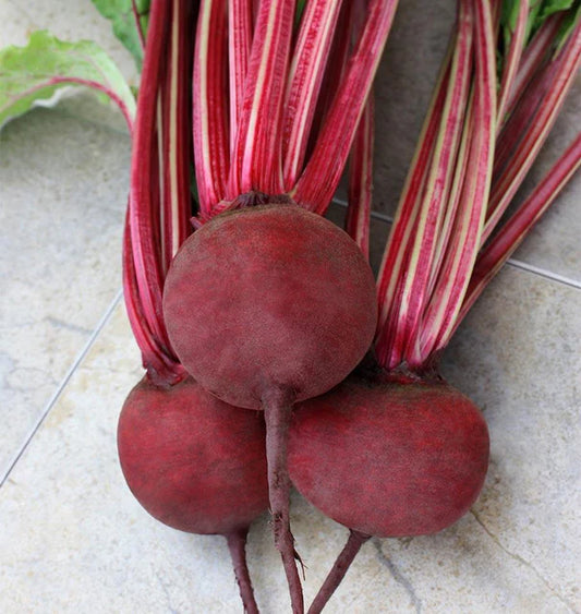 West Coast Seeds (Detroit Supreme Beet)