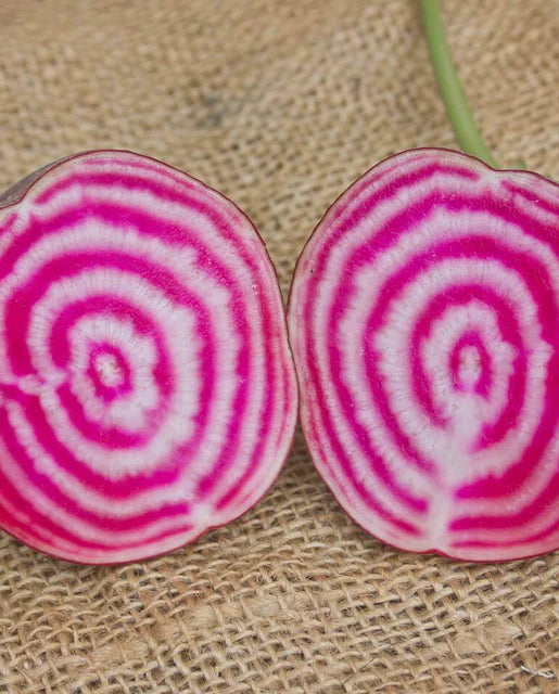 West Coast Seeds (Chioggia Guardsmark Organic)