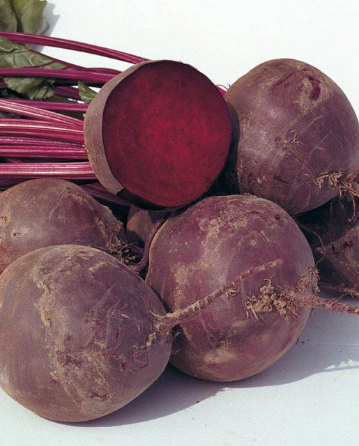 West Coast Seeds (Boro Coated Organic)