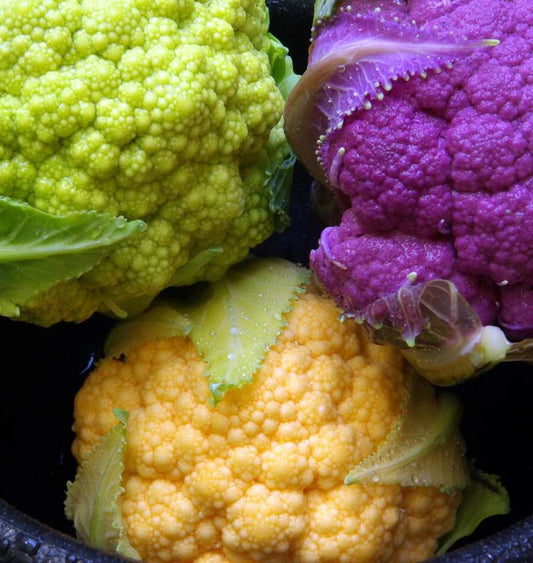 West Coast Seeds (Multi-Colour Blend Cauliflower)