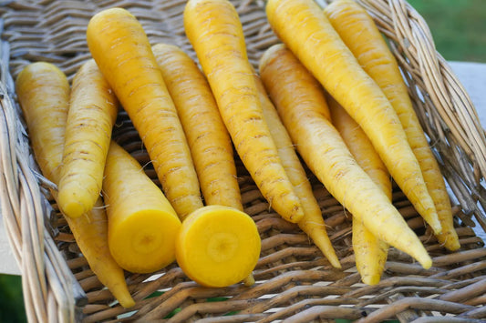West Coast Seeds (Gold Nugget F1 Carrot)